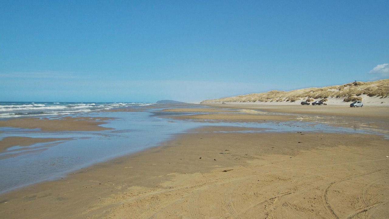 Photo of Others in Blokhus