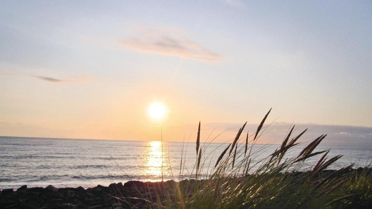 Photo of Others in Lemvig