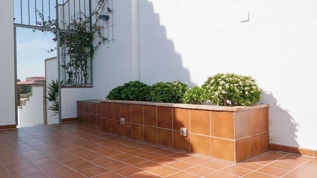 Photo of Others in Torreblanca