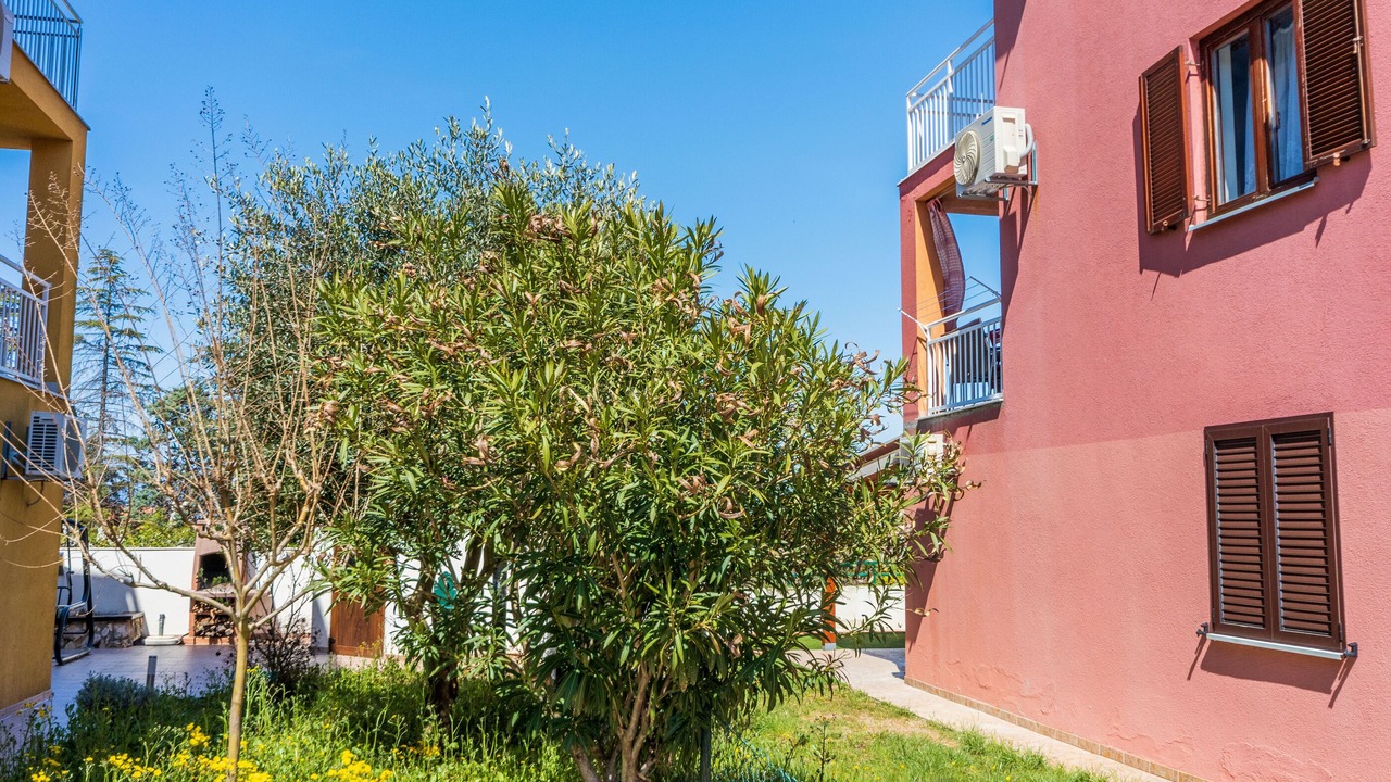 Photo of Outdoor in Milcetici