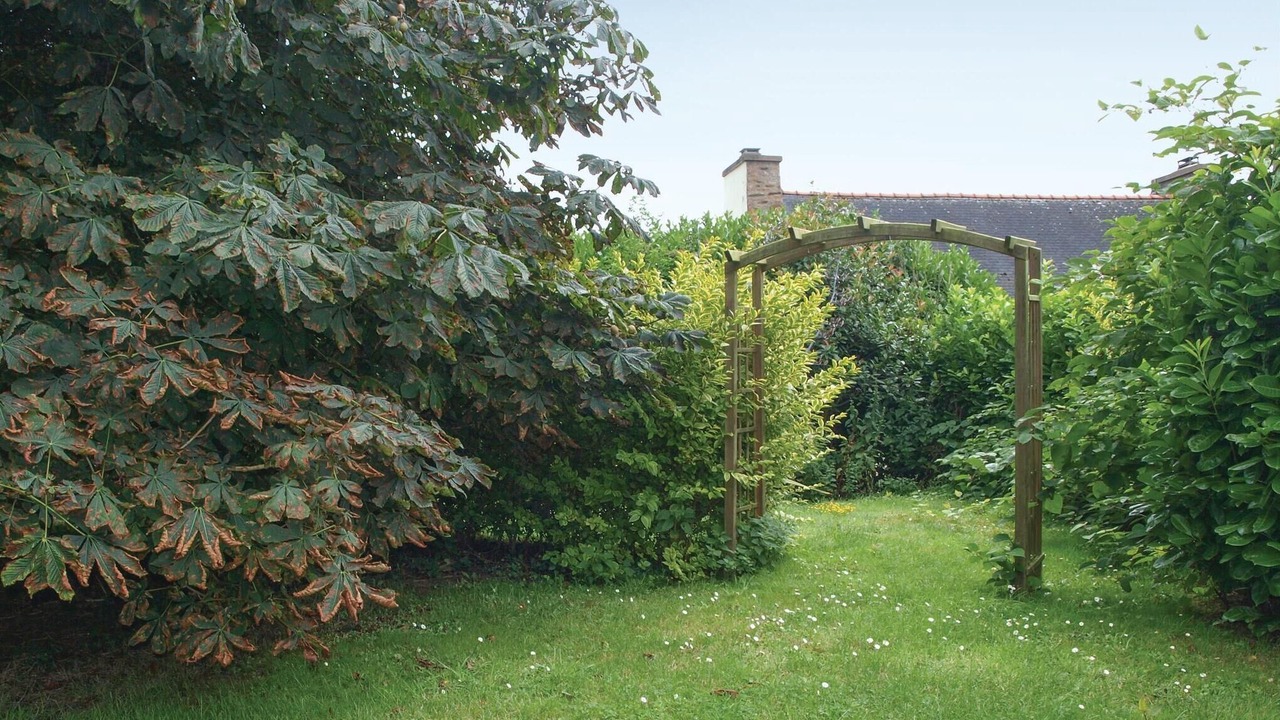 Photo of Others in Le Faouet