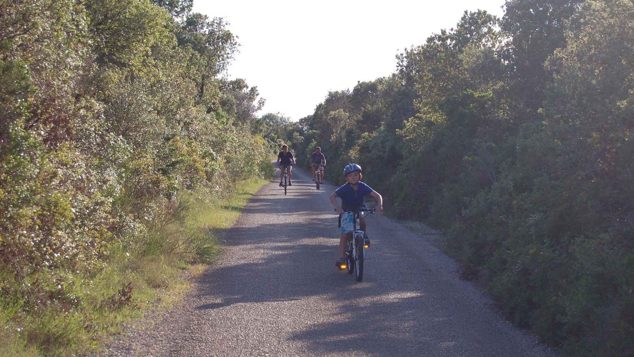 Photo of Others in Verunic