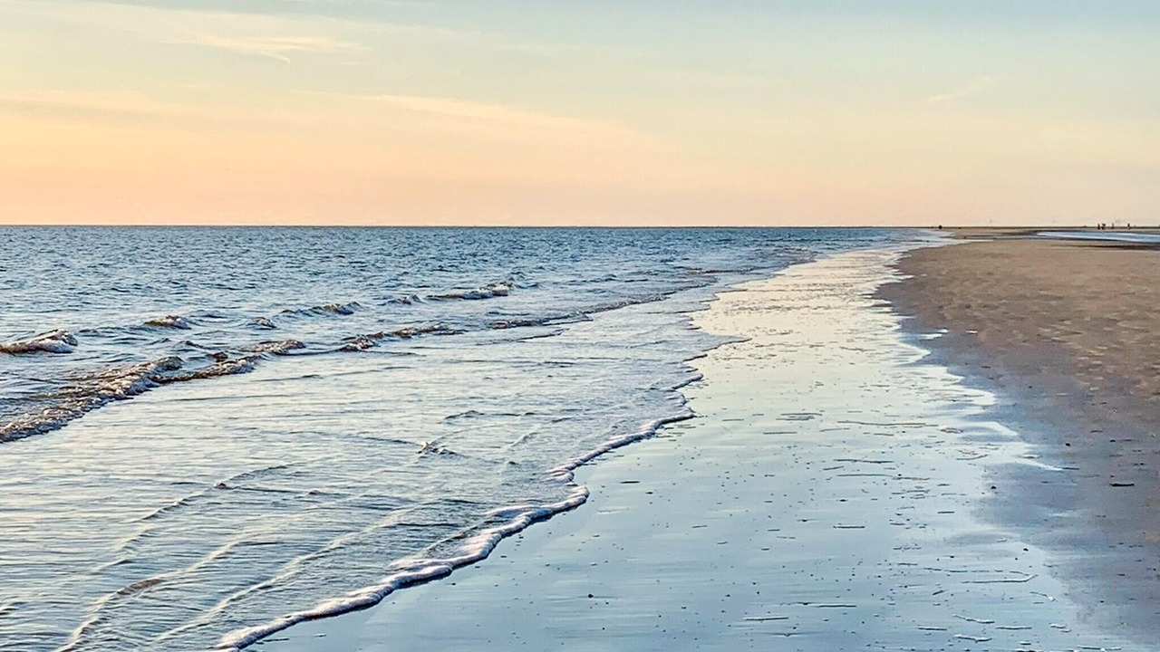 Photo of Others in Blavand Strand
