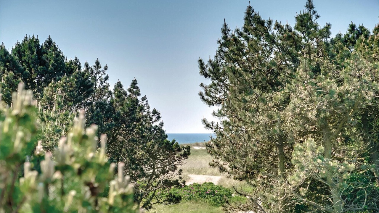 Photo of Others in Blavand Strand