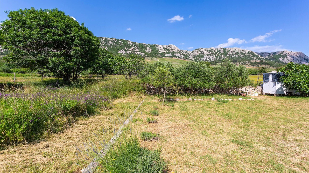 Photo of Outdoor in Draga Bascanska