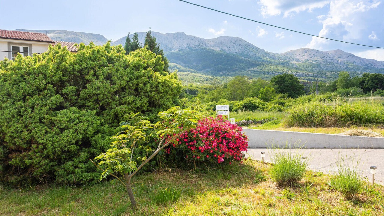Photo of Outdoor in Draga Bascanska