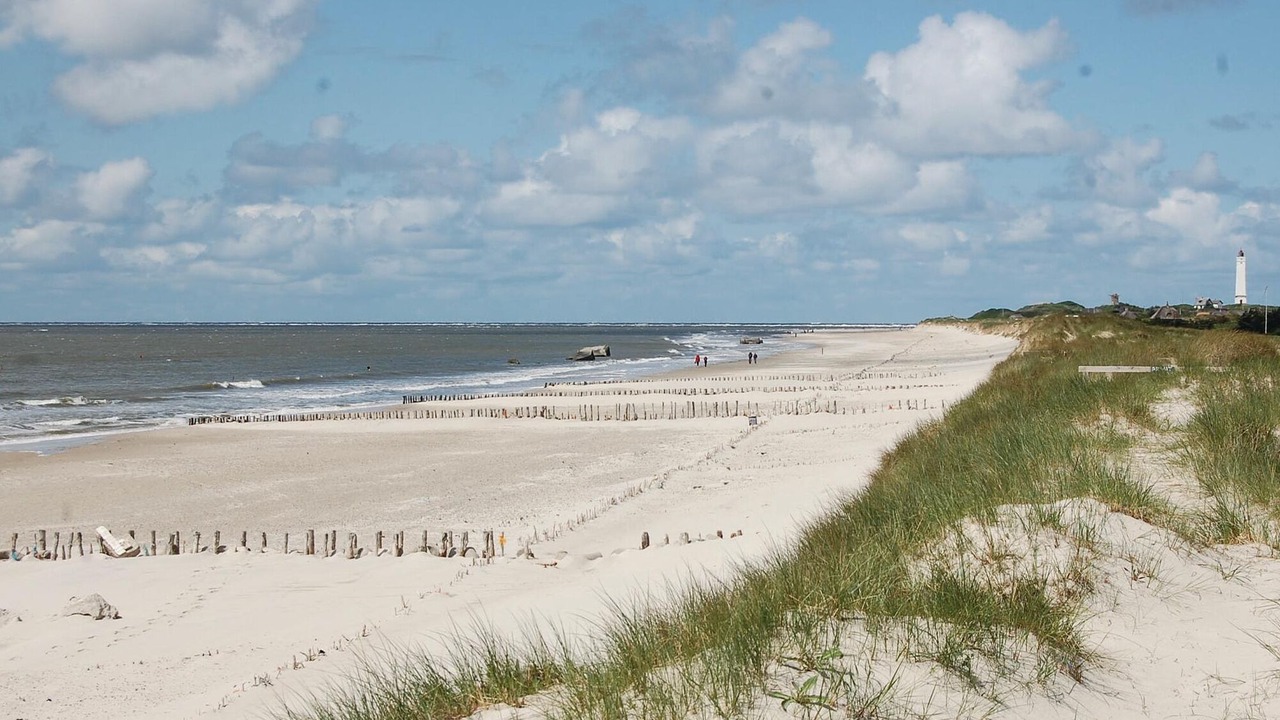 Photo of Others in Blavand Strand