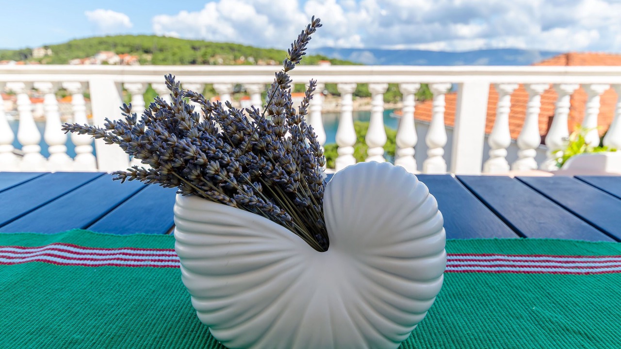 Photo of Outdoor in Island Hvar