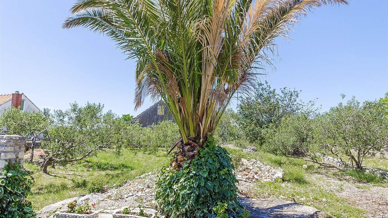 Photo of Outdoor in Donje Selo