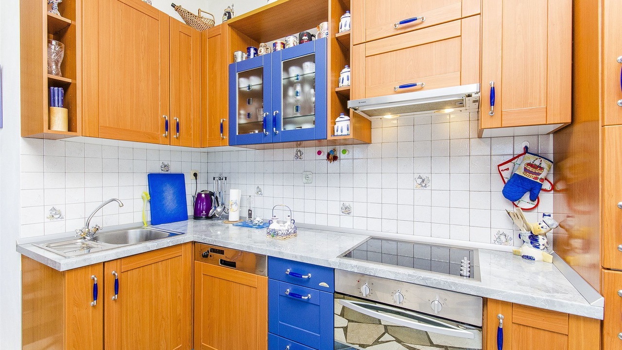 Photo of Kitchen in Donje Selo