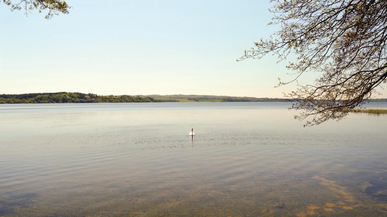 Photo of Others in Skanderborg