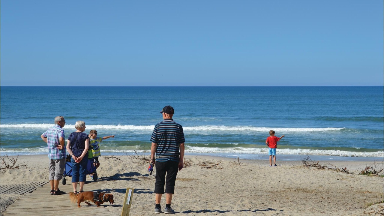 Photo of Others in Lodbjerg Hede