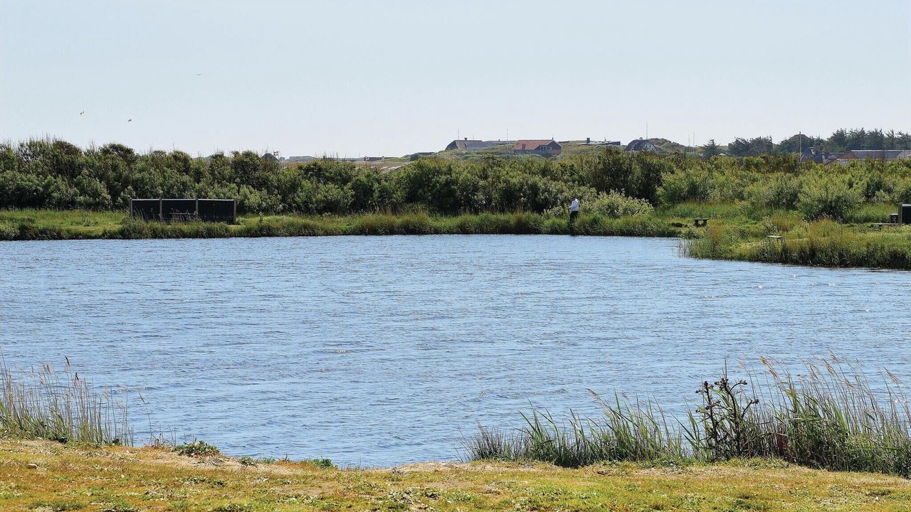 Photo of Others in Lodbjerg Hede
