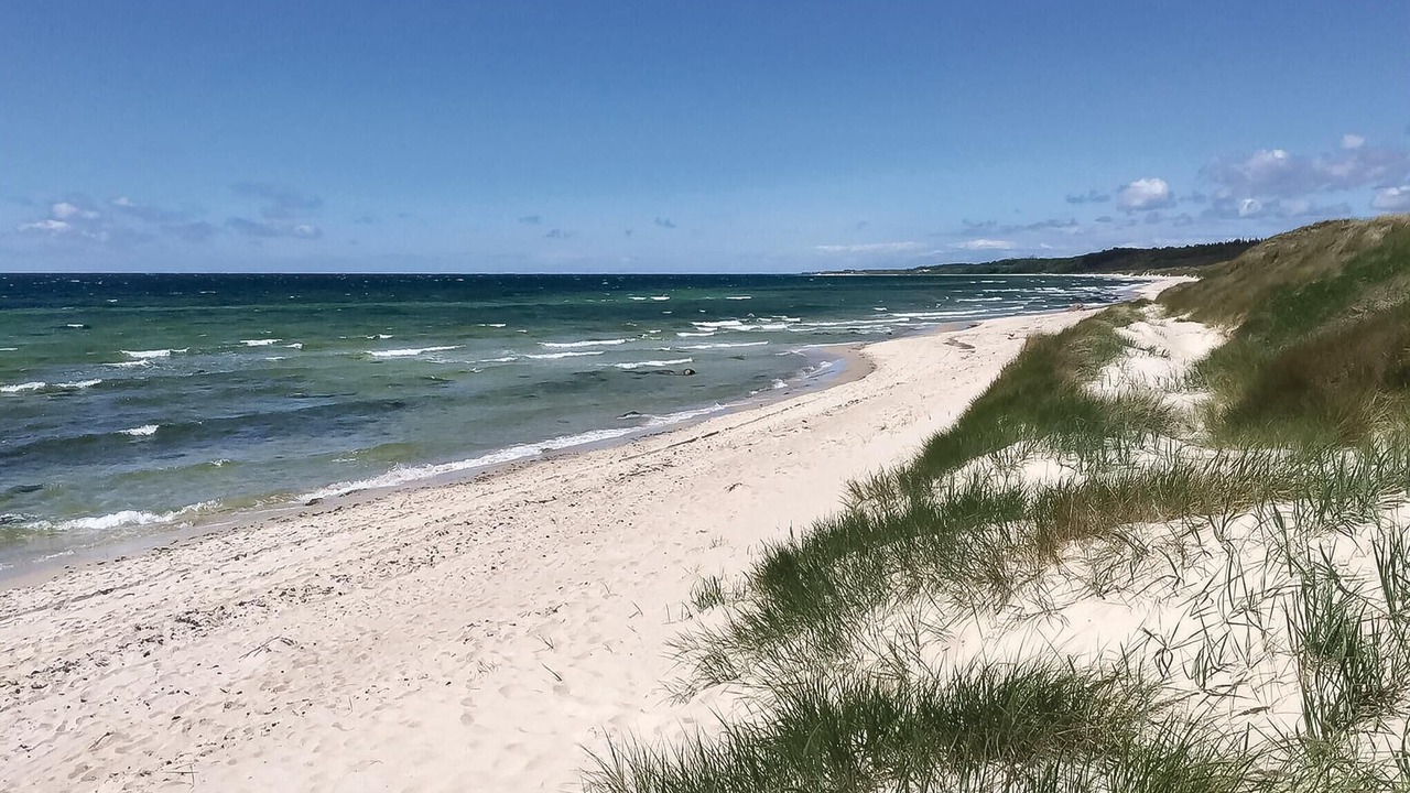 Photo of Others in Hasle