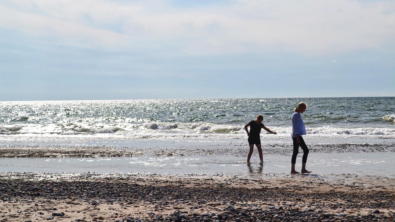 Photo of Others in Hvide Sande