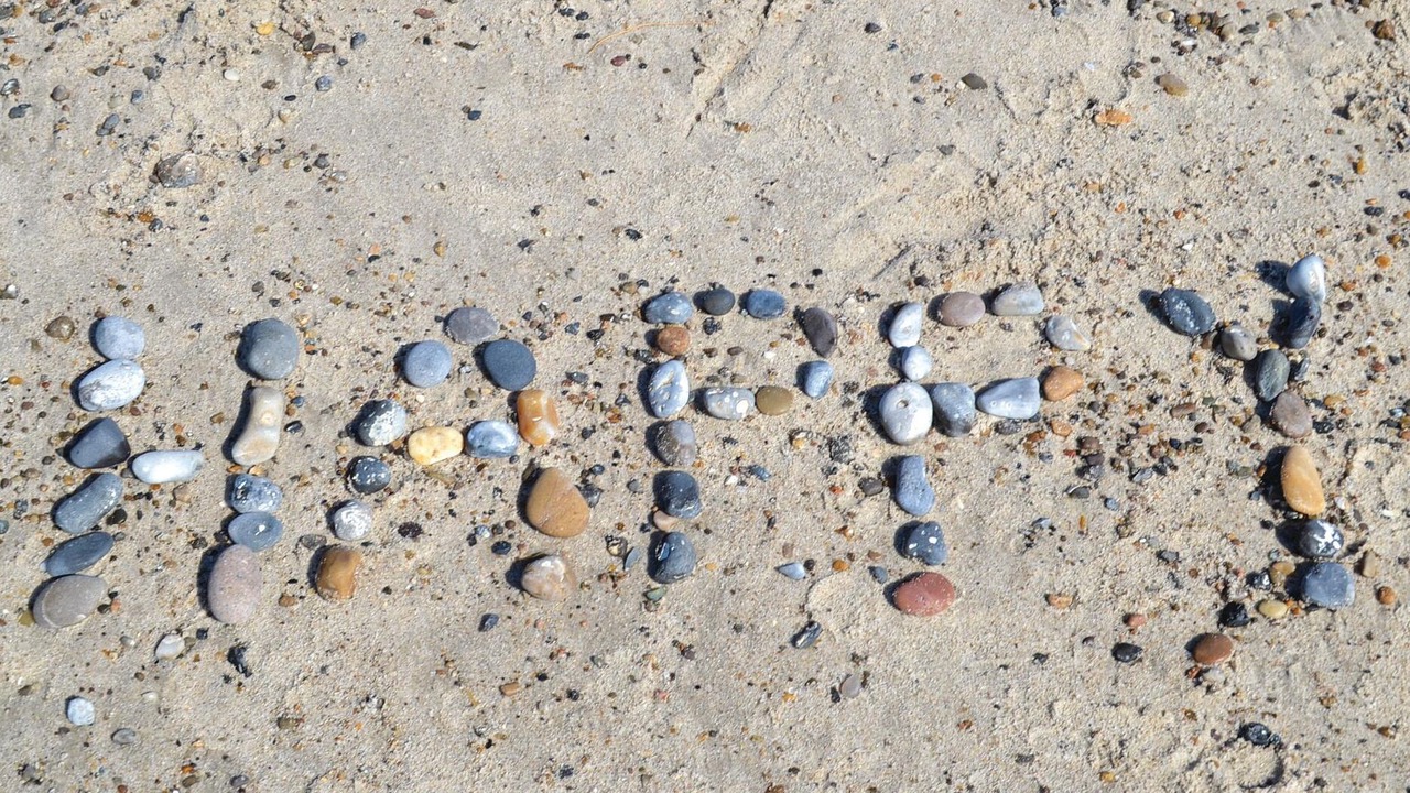 Photo of Others in Hvide Sande