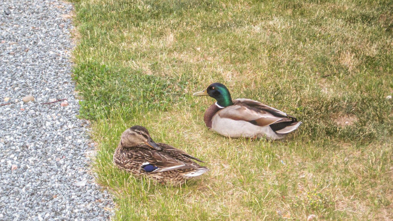 Photo of Others in Rendbjerg