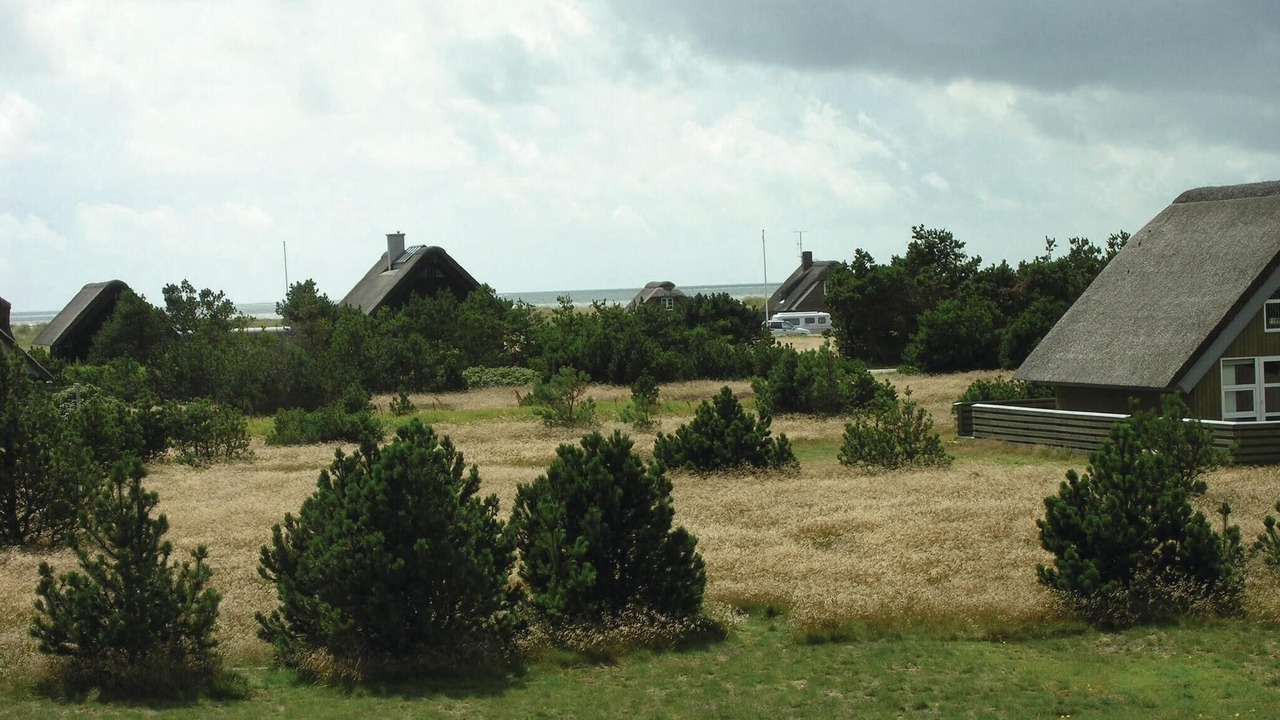 Photo of Others in Blavand Strand