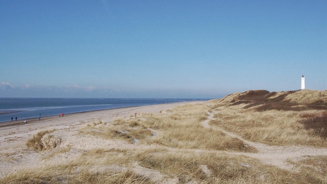 Photo of Others in Blavand Strand