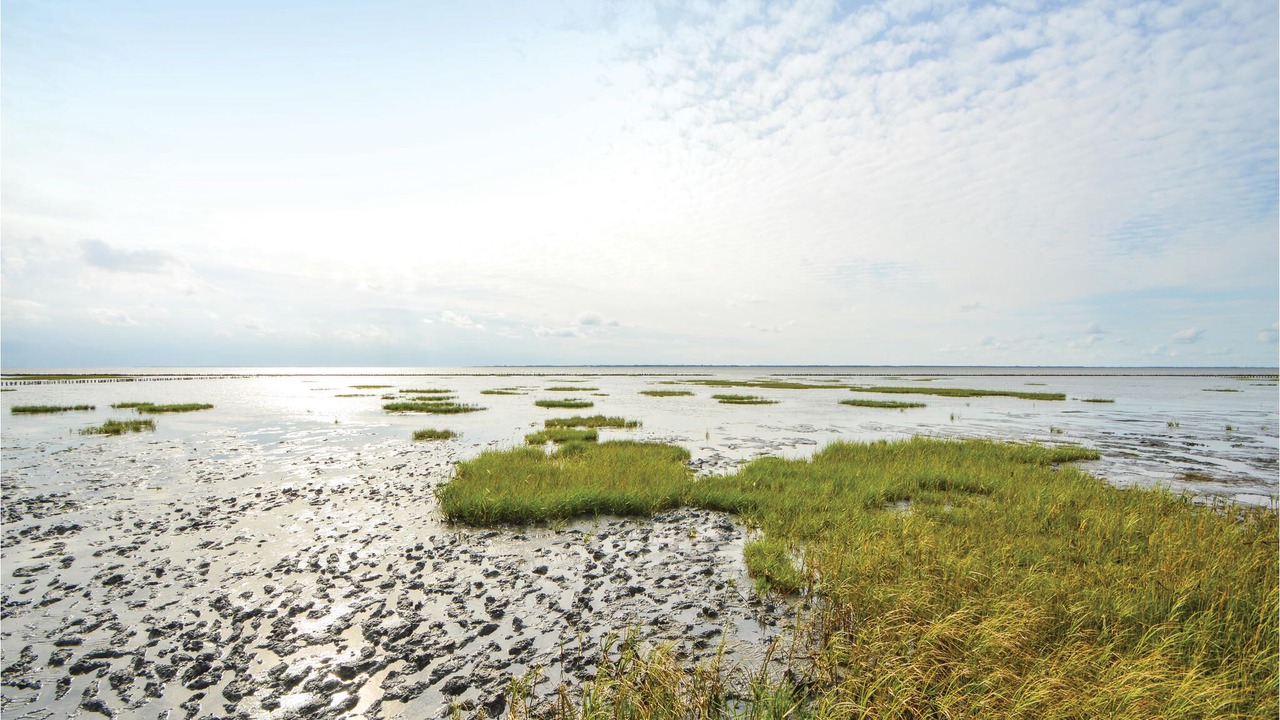 Photo of Others in Vragard