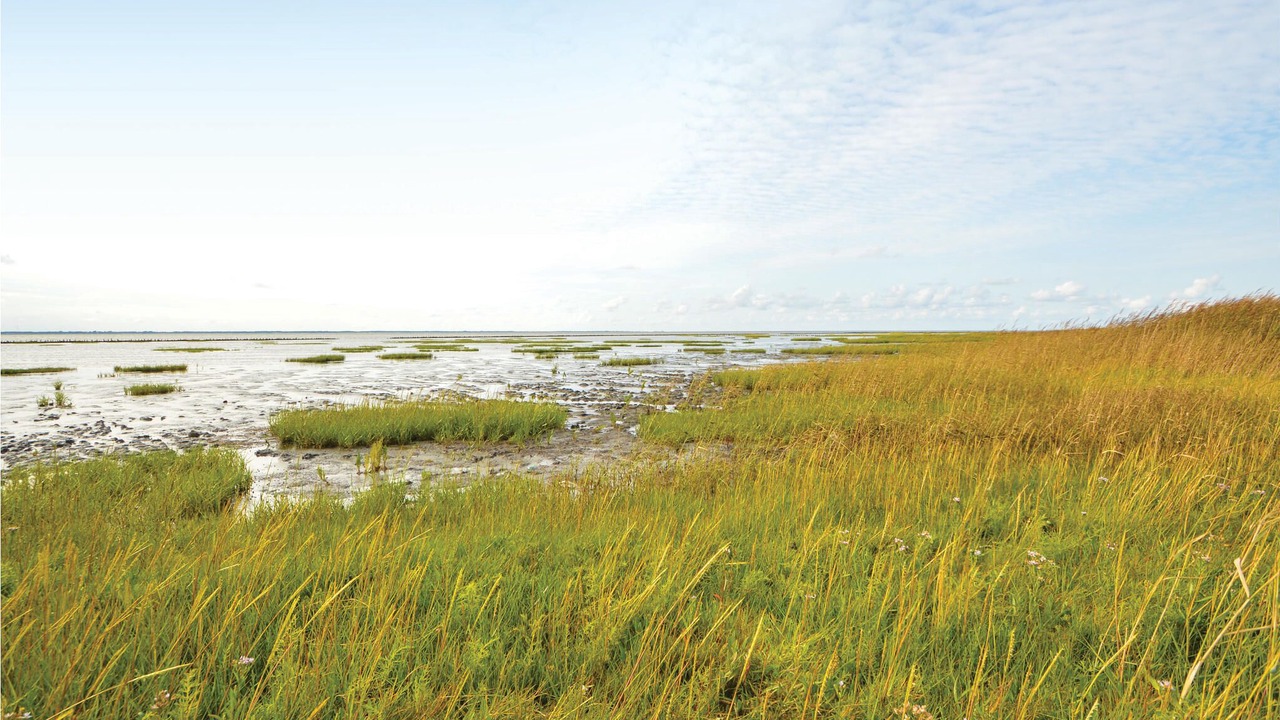 Photo of Others in Vragard