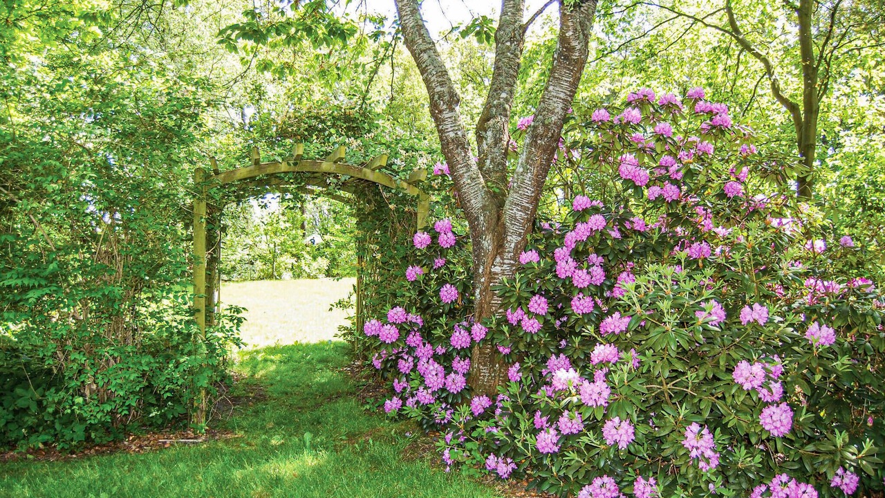 Photo of Others in Vragard