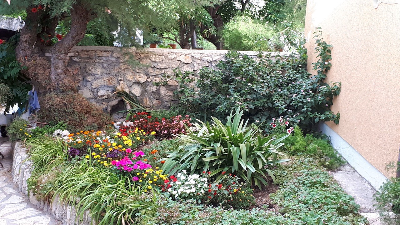 Photo of Outdoor in Razanac