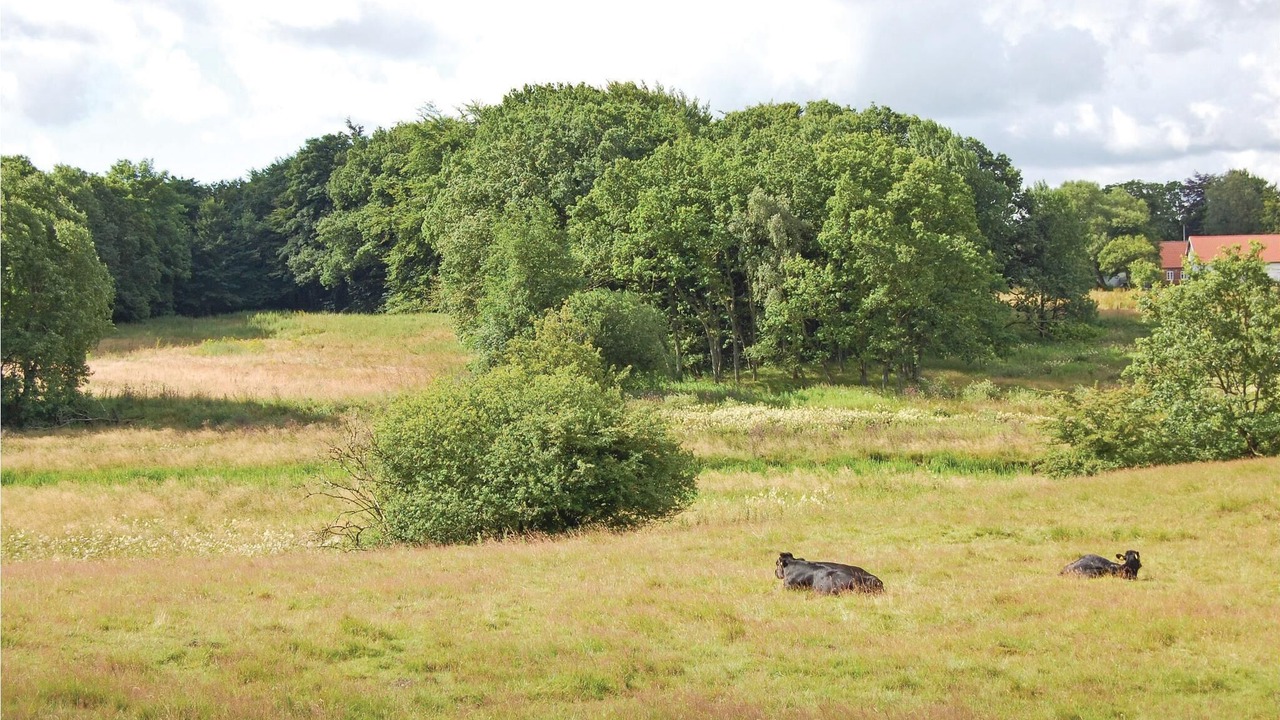 Photo of Others in Hovborg