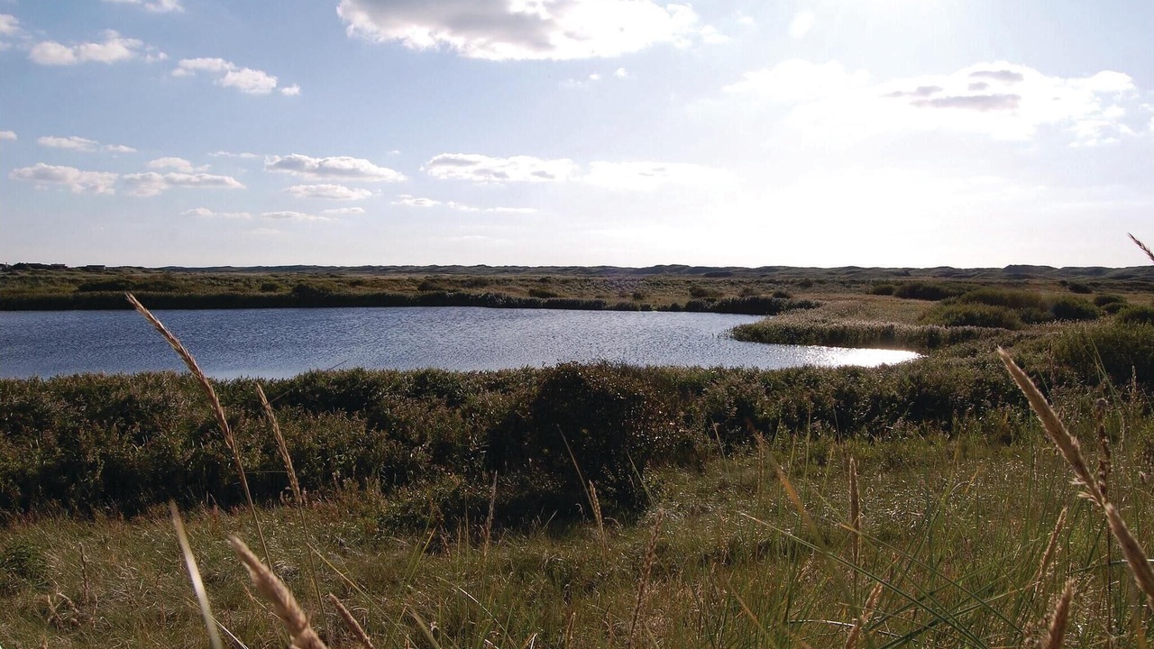 Photo of Others in Bjerregaard