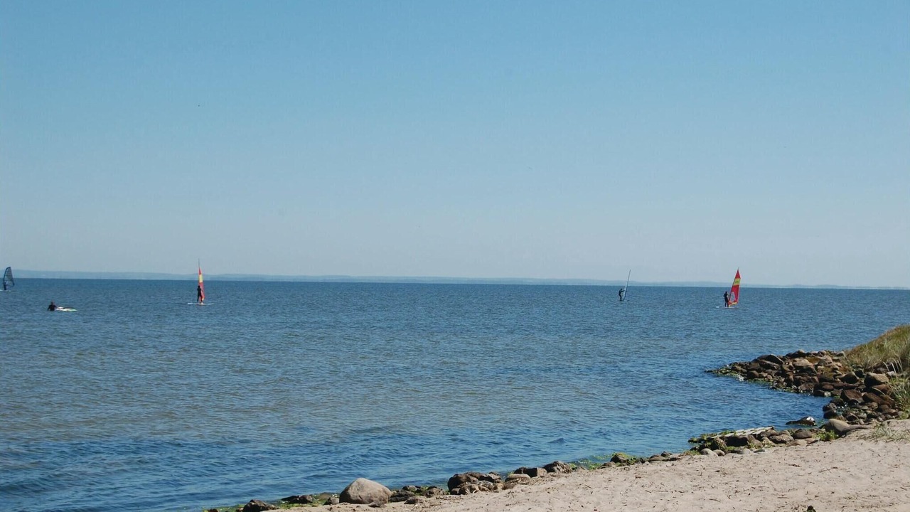 Photo of Others in Bjerregaard