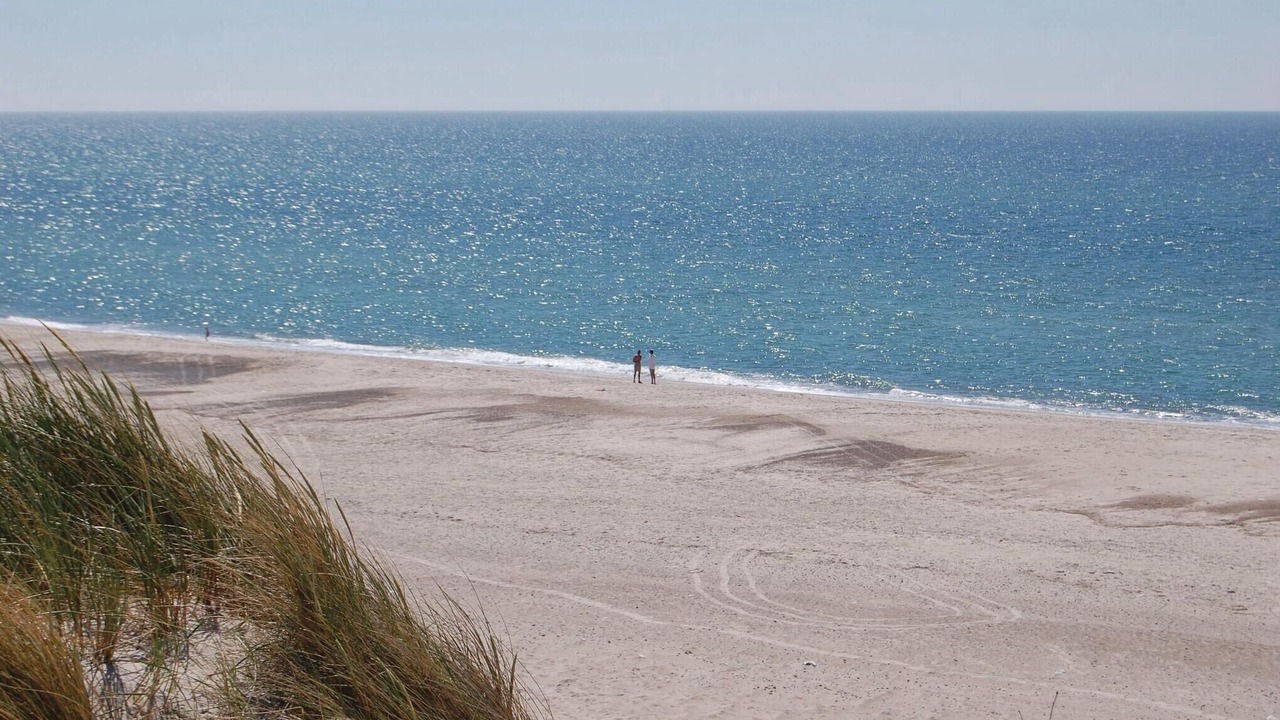 Photo of Others in Bjerregaard