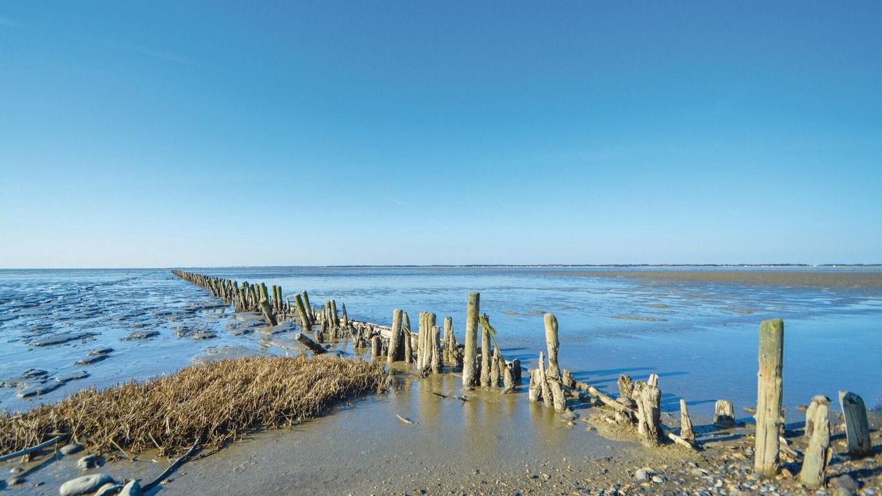 Photo of Others in Havneby