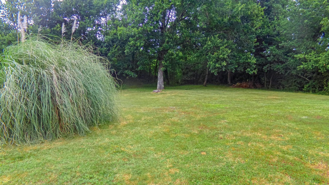 Photo of Others in Eglise-Neuve-d'Issac