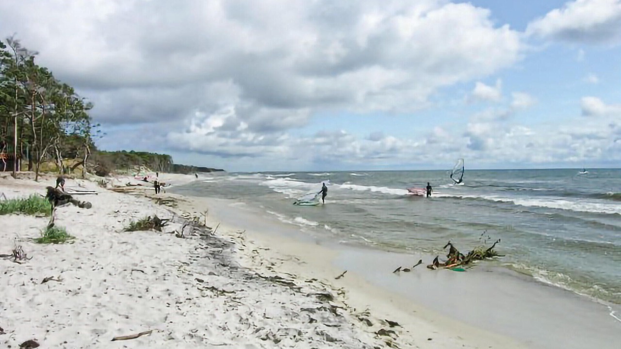 Photo of Others in Hasle