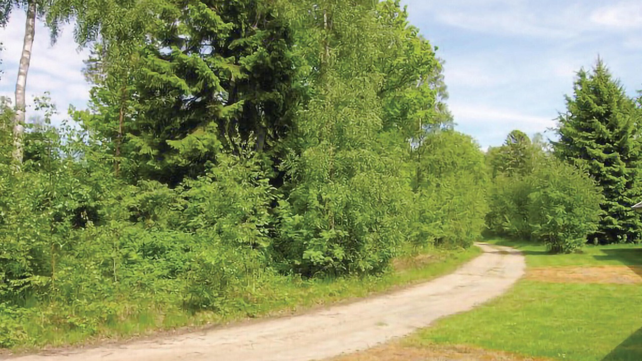 Photo of Others in Hasle