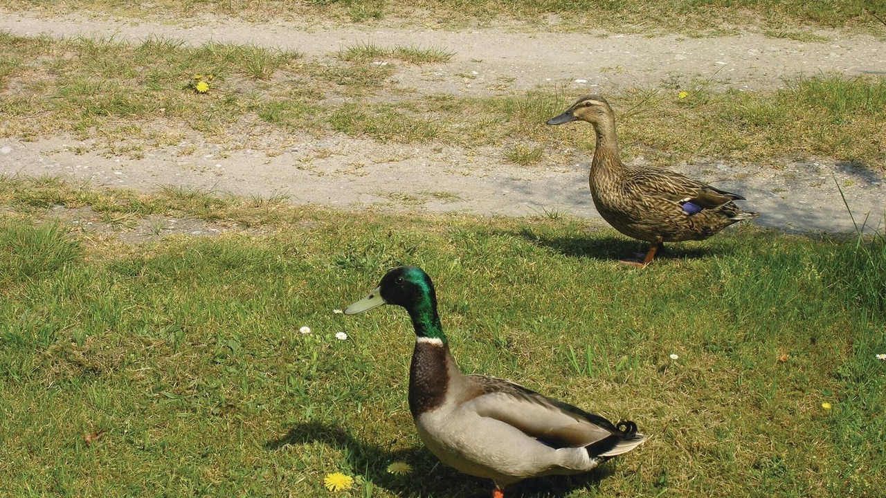 Photo of Others in Middelfart