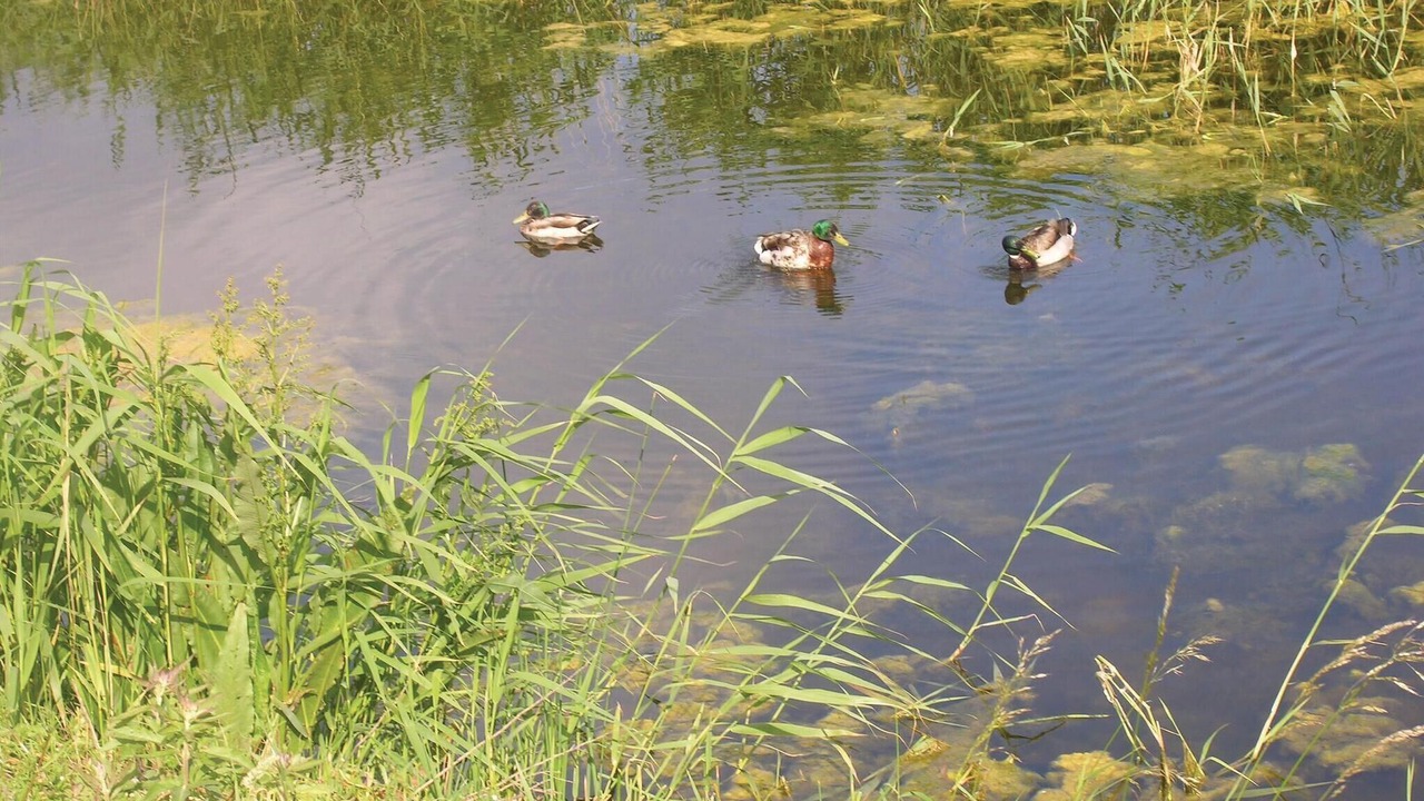 Photo of Others in Middelfart