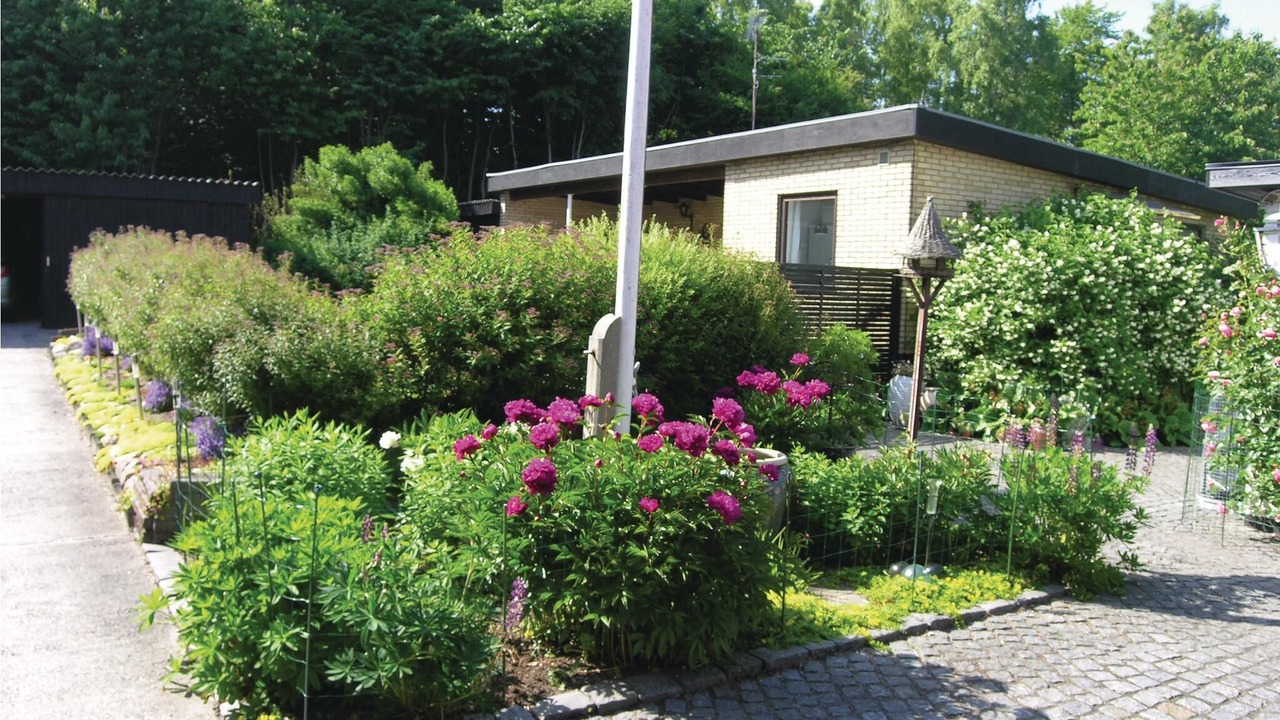 Photo of Others in Ronne