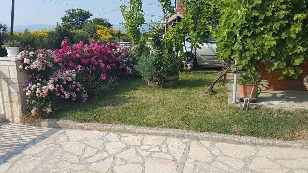 Photo of Others in Ljubac