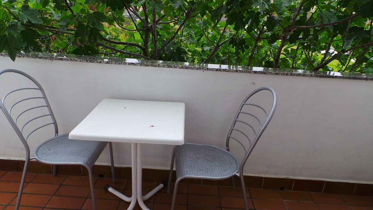 Photo of Outdoor in Ljubac