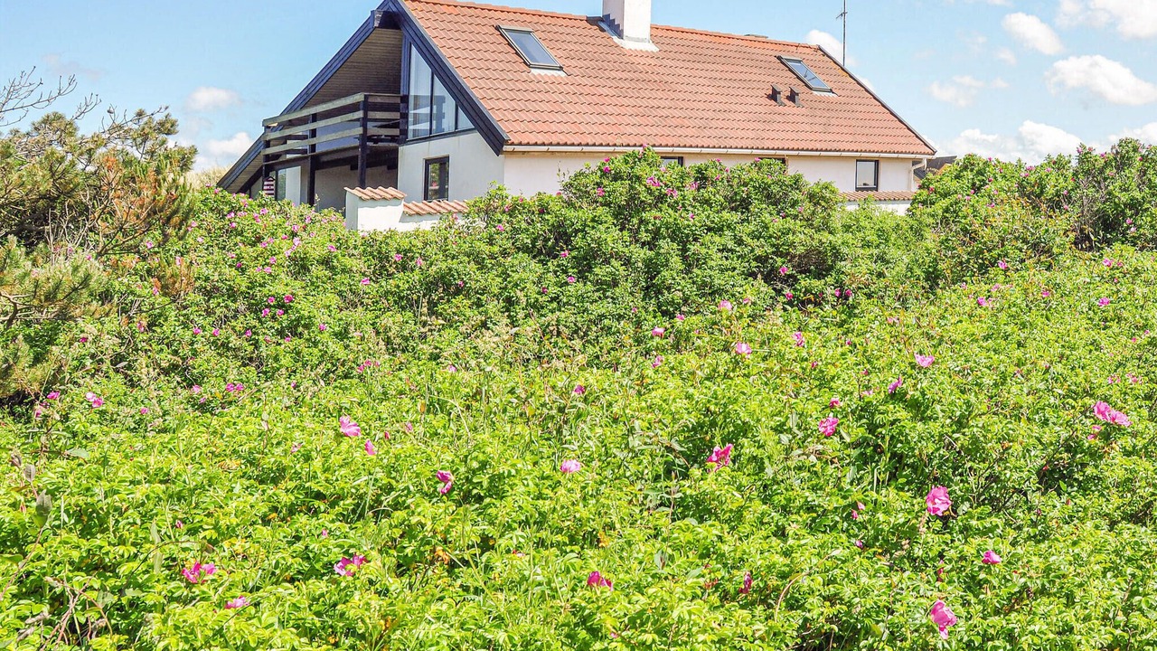 Photo of Others in Vorupør