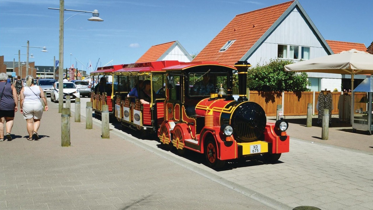 Photo of Others in Lodbjerg Hede