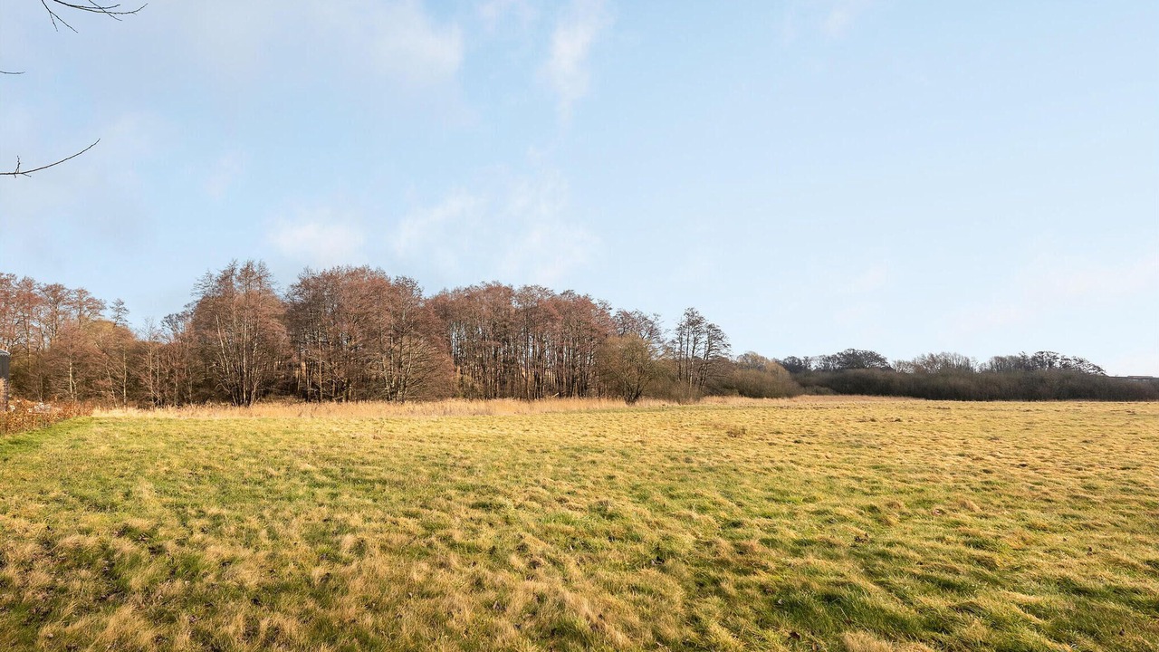 Photo of Others in Flovt Strand