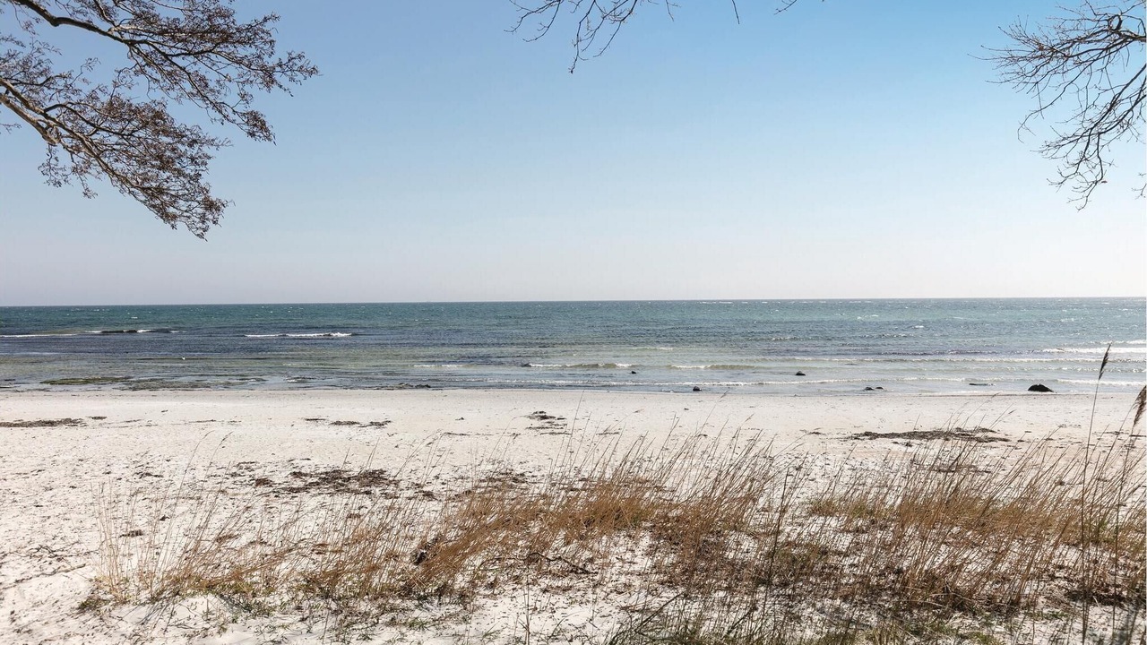 Photo of Others in Bedegaard