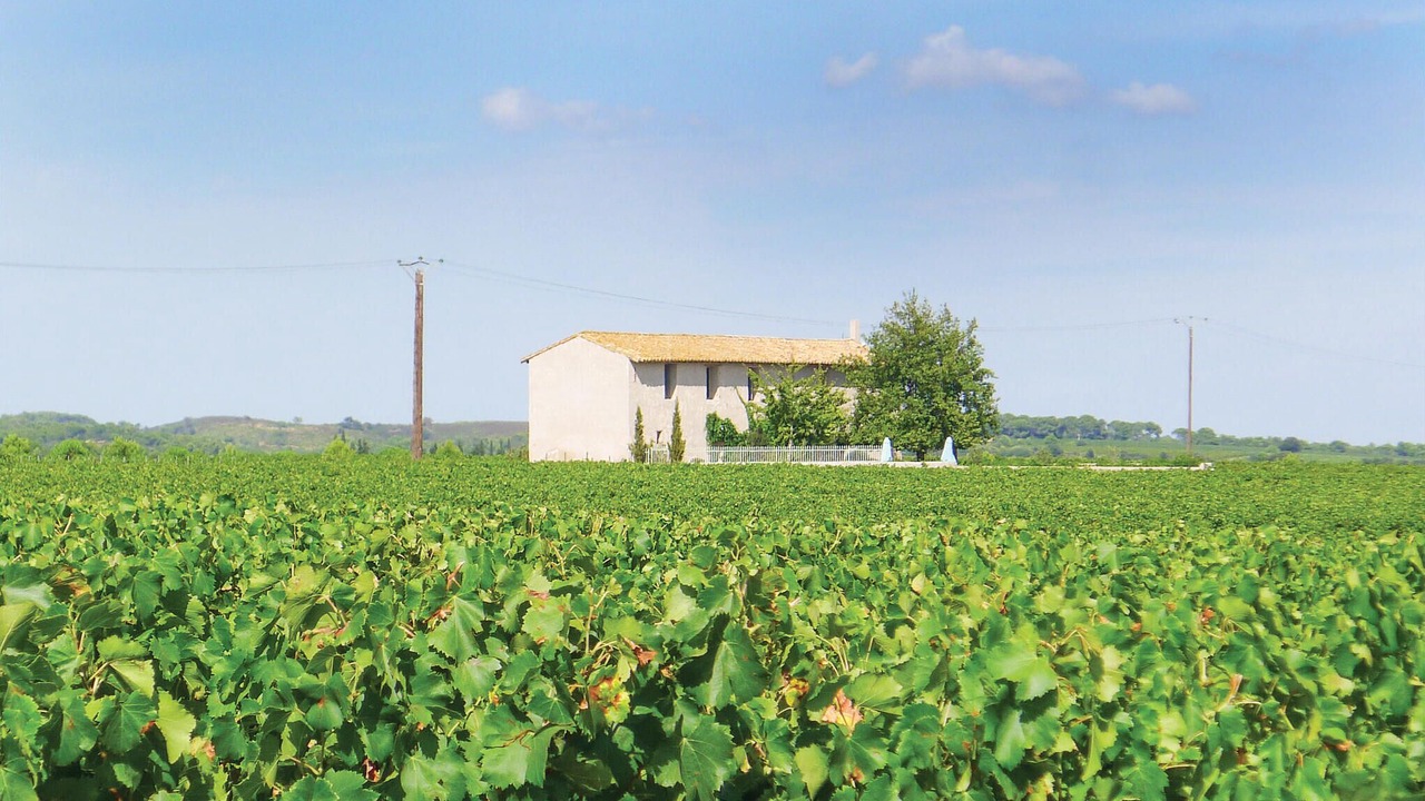 Photo of Others in Saint-Gilles