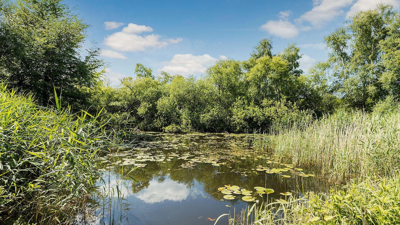 Photo of Others in Rageleje