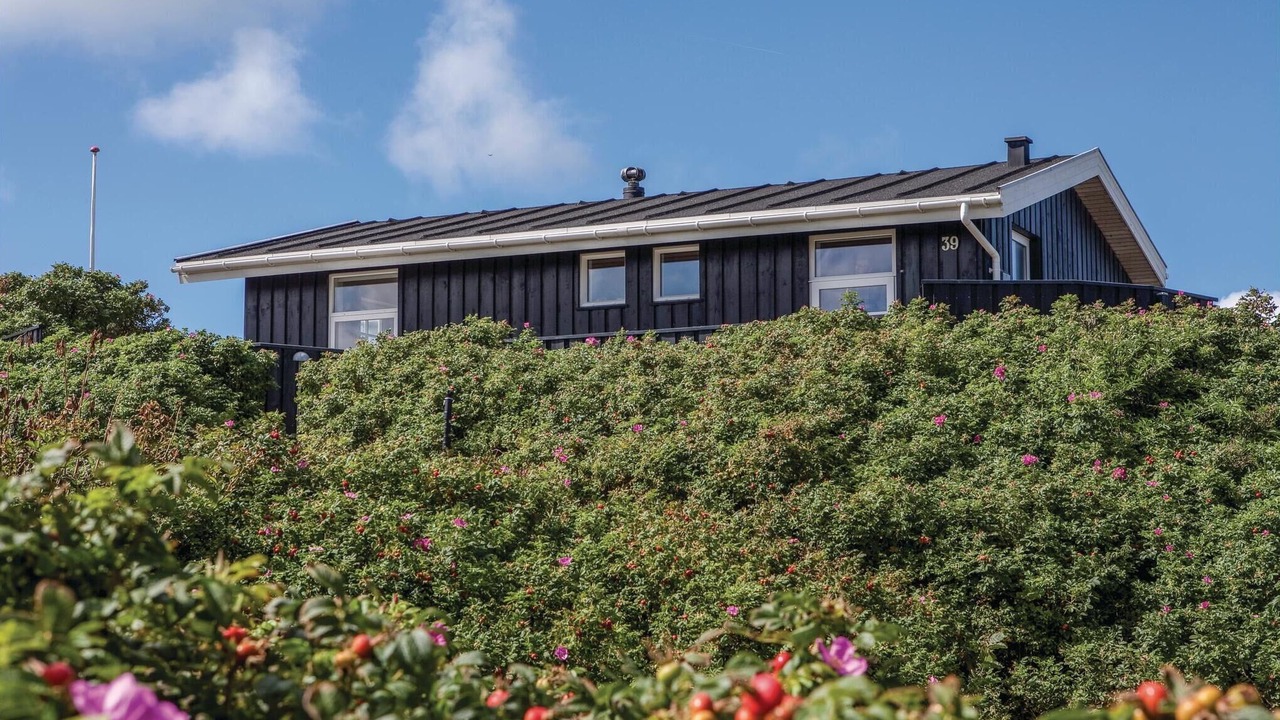 Photo of Outdoor in Lonstrup