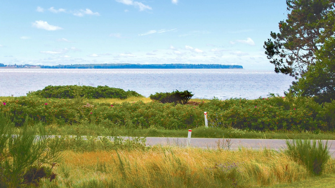 Photo of Bedroom in Handrup Strand