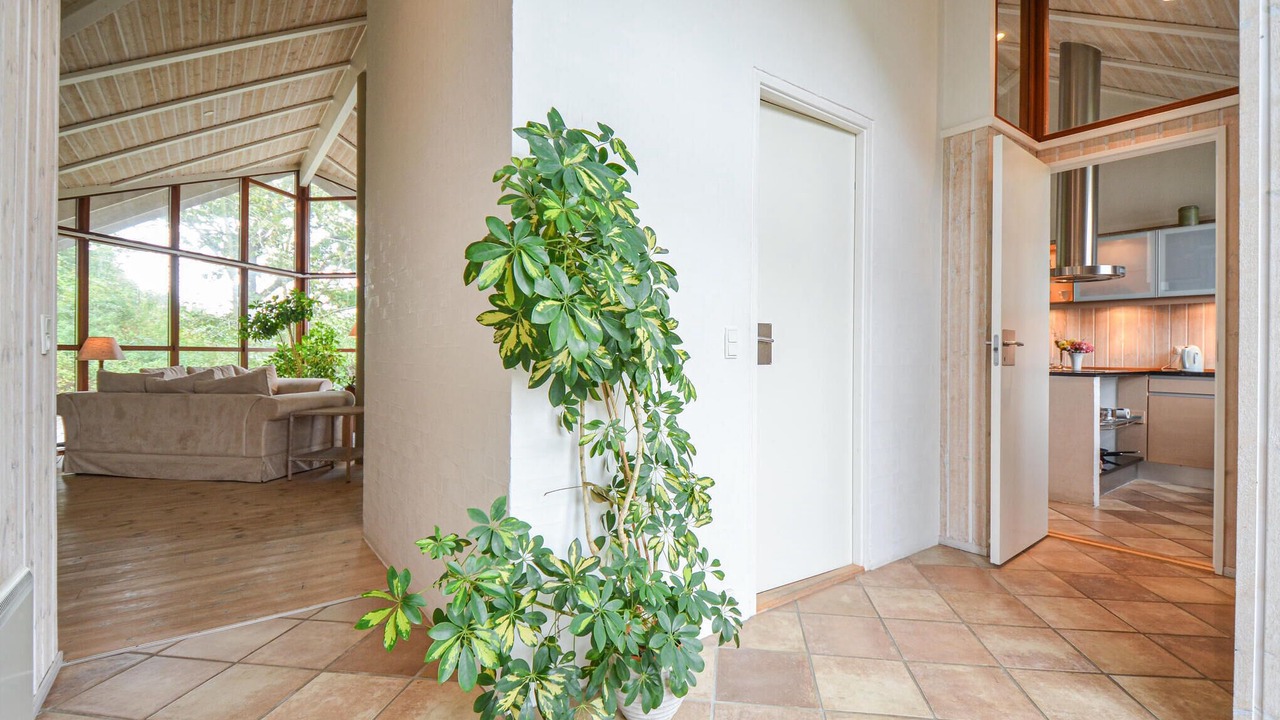 Photo of Others in Handrup Strand