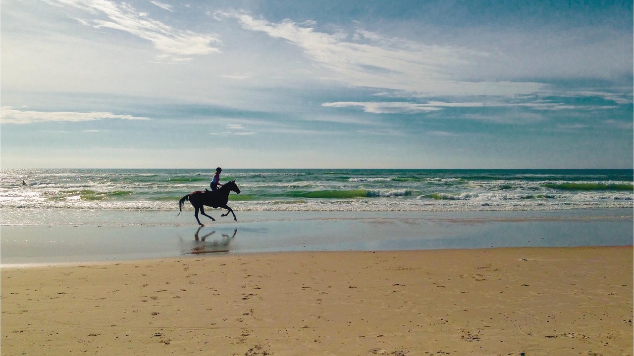 Photo of Others in Nørre Lyngvig